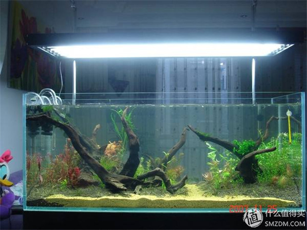 11W的魚缸uv燈