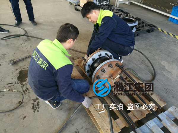 太陽能增壓泵配套橡膠軟連接