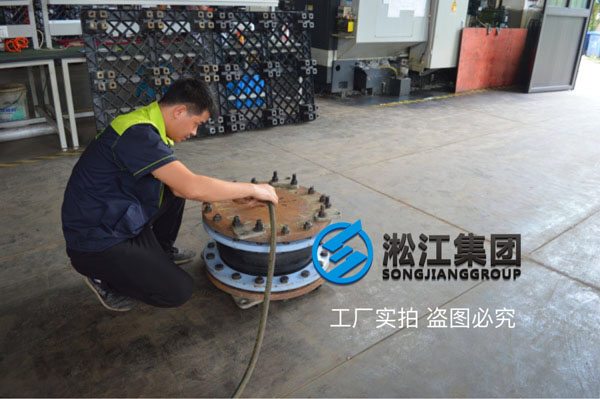 你好,有這個上海淞江DN150橡膠避震喉的圖紙發我一下