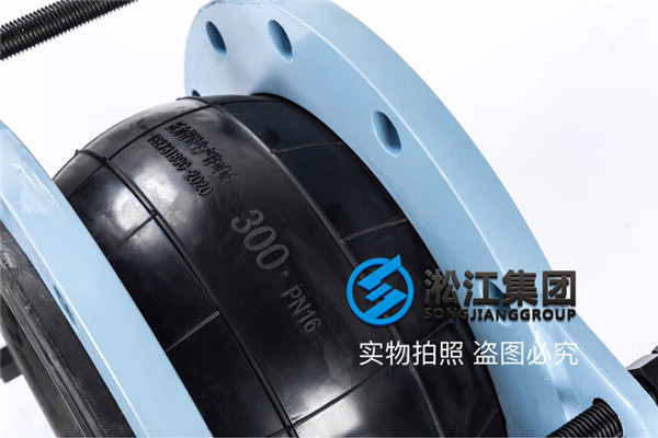 貴州王車水庫工程DN300，PN16防拉脫橡膠減震接頭