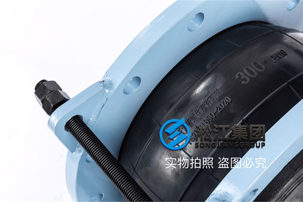 貴州王車水庫工程DN300，PN16防拉脫橡膠減震接頭