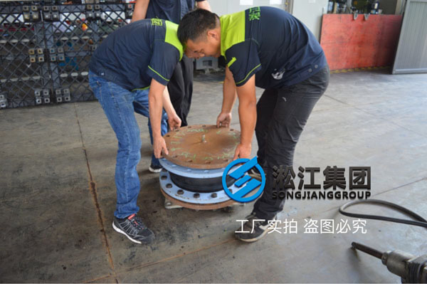 DN200/250-PN25橡膠接頭多少錢一個