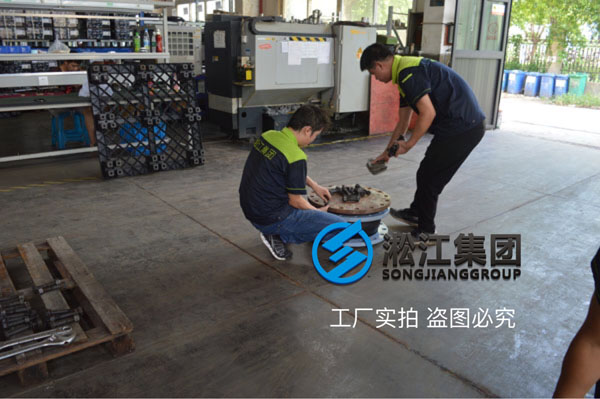 DN200/250-PN25橡膠接頭多少錢一個