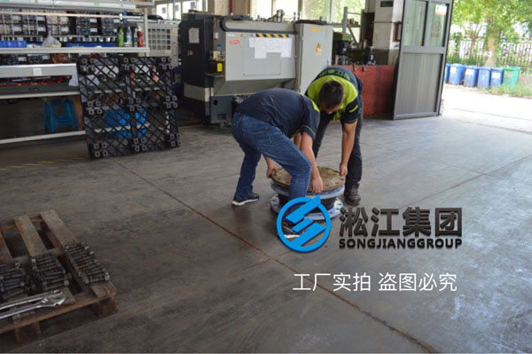 濕法脫酸系統(tǒng)橡膠接頭 KXT-DN250 PN10 EPDM橡膠