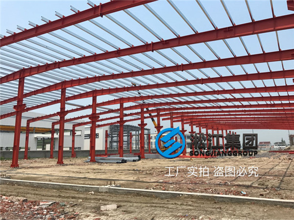 DN1000-L300/400帶法蘭的脫硫系統專用橡膠接頭