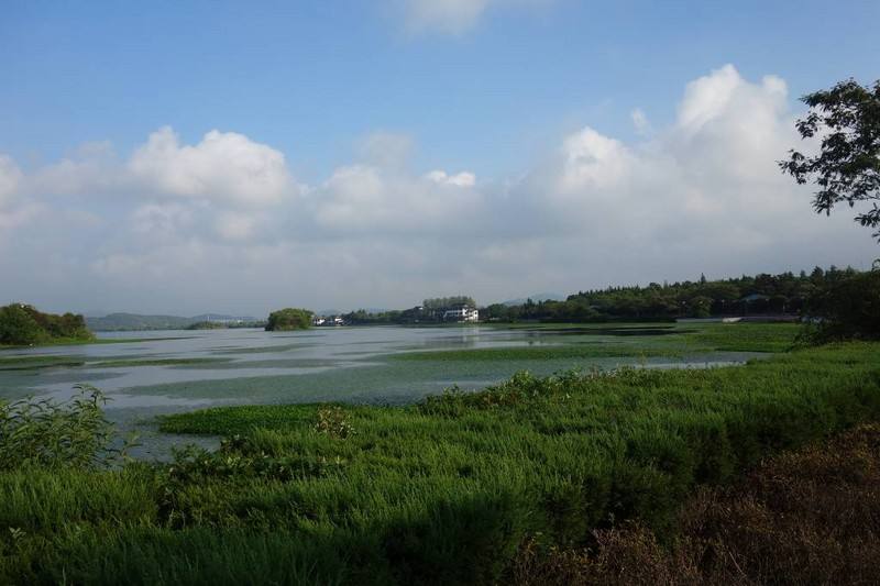 蘇州太湖國家旅游區(qū)SUS304耐高壓橡膠伸縮節(jié)