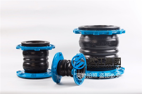 資陽市雙球橡膠補償器12#-300,把圖發我看一下